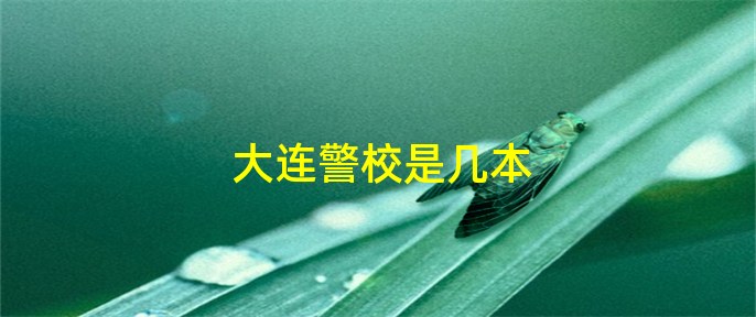 大連警校是幾本